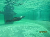IMG_7518.jpg, 24kB